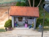 P1010130_[].JPG