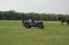 IMGP0597.JPG