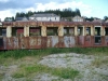 Filename=CIMG2778.jpg
Filesize=332KB
Dimensions=1024x768
Date added=Jul 10, 2007 CIMG2778.jpg
