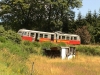 DSC00902.jpg