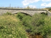 DSC00905.jpg