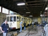 P1000513_DxO.jpg