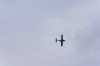 IMGP0903.JPG