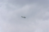 IMGP0904.JPG