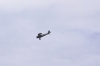 _IGP4066_DxO.jpg