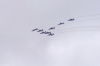_IGP4262_DxO.jpg